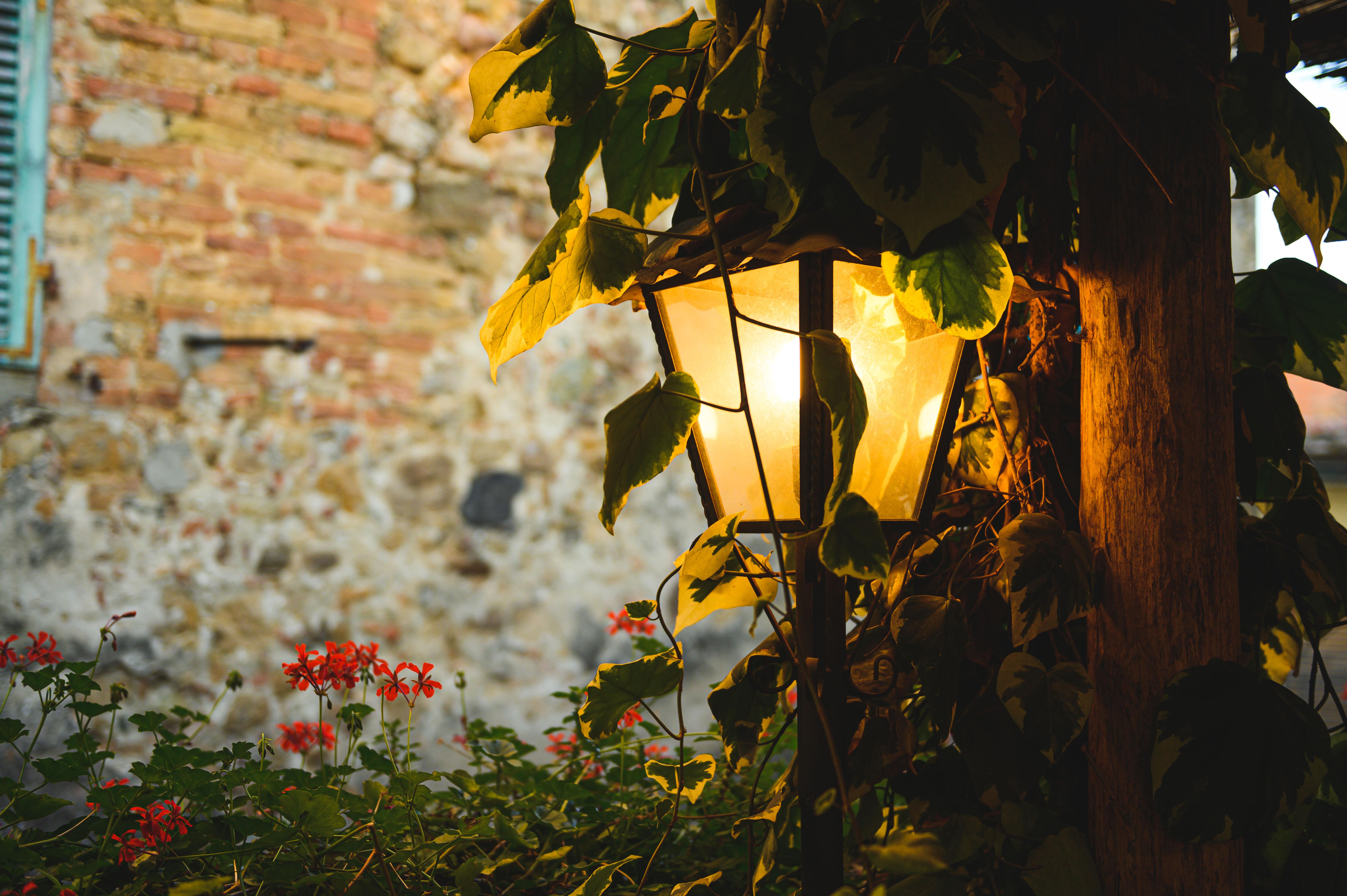 Palazzo Del Capitano Wellness E Relais Hotel San Quirico dʼOrcia Kültér fotó